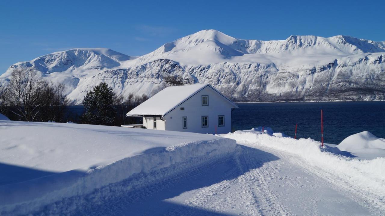 Heggelund Villa Svensby Buitenkant foto