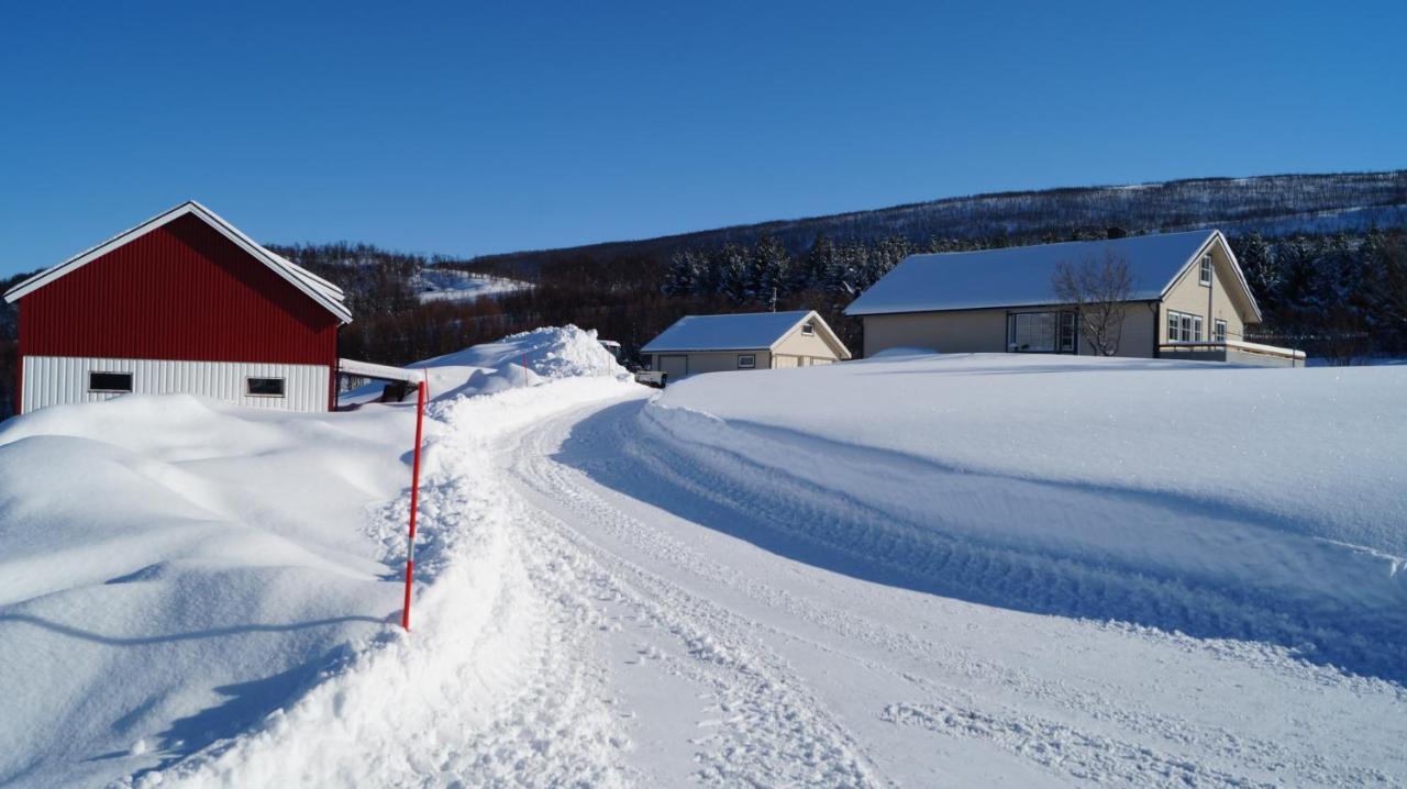 Heggelund Villa Svensby Buitenkant foto